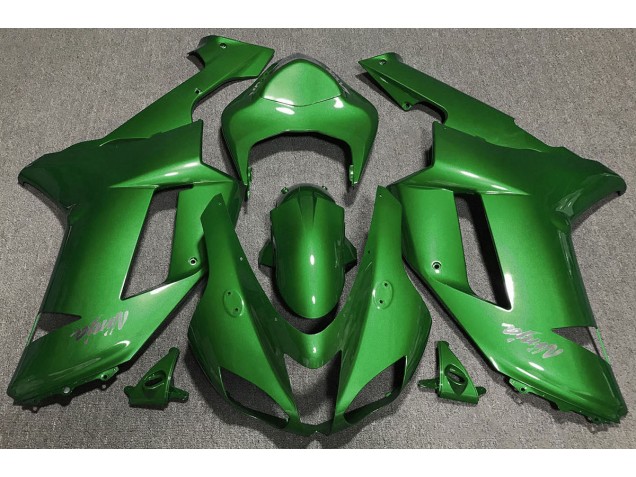 2007-2008 Bosque Verde ZX6R Carenado